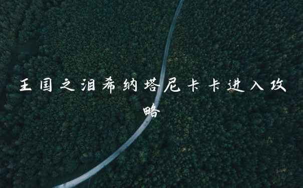 王国之泪希纳塔尼卡卡进入攻略