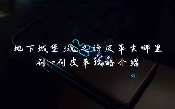 地下城堡3魂之诗皮革去哪里刷-刷皮革攻略介绍