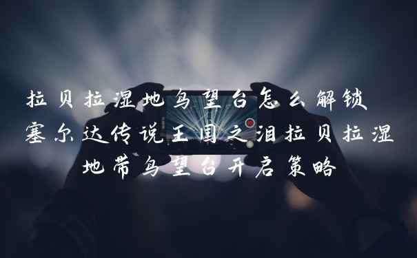 拉贝拉湿地鸟望台怎么解锁 塞尔达传说王国之泪拉贝拉湿地带鸟望台开启策略