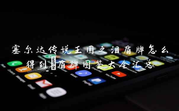 塞尔达传说王国之泪盾牌怎么得到_盾牌图鉴大全汇总