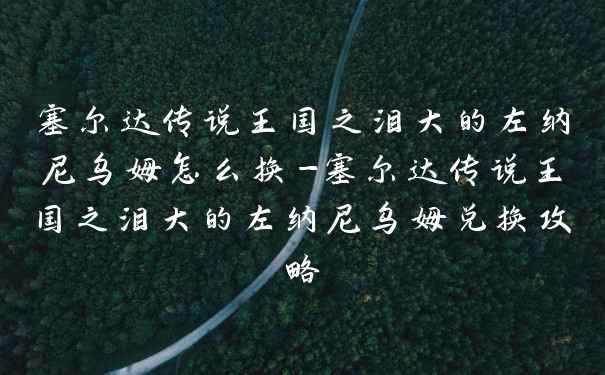 塞尔达传说王国之泪大的左纳尼乌姆怎么换-塞尔达传说王国之泪大的左纳尼乌姆兑换攻略