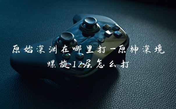 原始深渊在哪里打-原神深境螺旋12层怎么打