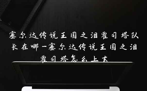塞尔达传说王国之泪霍司塔队长在哪-塞尔达传说王国之泪霍司塔怎么上去