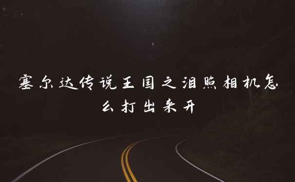 塞尔达传说王国之泪照相机怎么打出来开