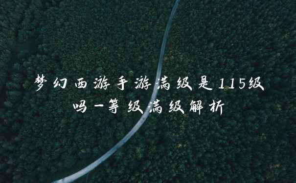 梦幻西游手游满级是115级吗-等级满级解析