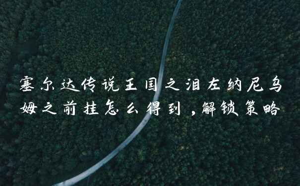 塞尔达传说王国之泪左纳尼乌姆之前挂怎么得到,解锁策略