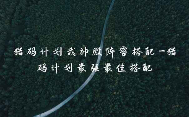 猎码计划武神殿阵容搭配-猎码计划最强最佳搭配