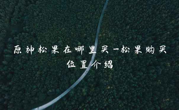 原神松果在哪里买-松果购买位置介绍