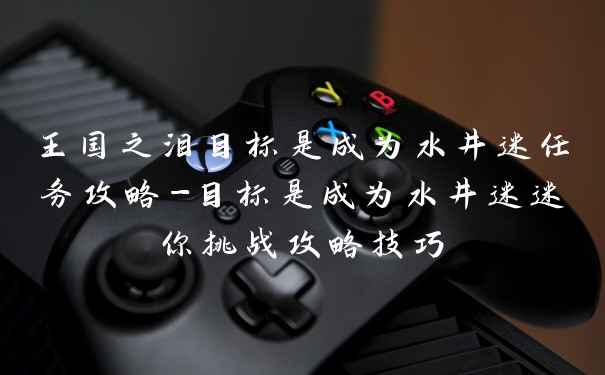 王国之泪目标是成为水井迷任务攻略-目标是成为水井迷迷你挑战攻略技巧