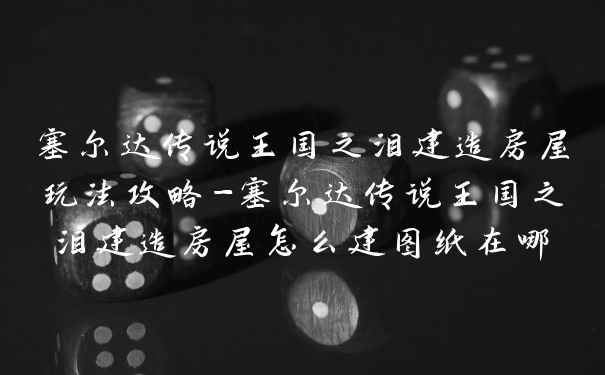 塞尔达传说王国之泪建造房屋玩法攻略-塞尔达传说王国之泪建造房屋怎么建图纸在哪