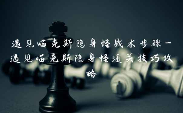 遇见喵克斯隐身怪战术步骤-遇见喵克斯隐身怪通关技巧攻略