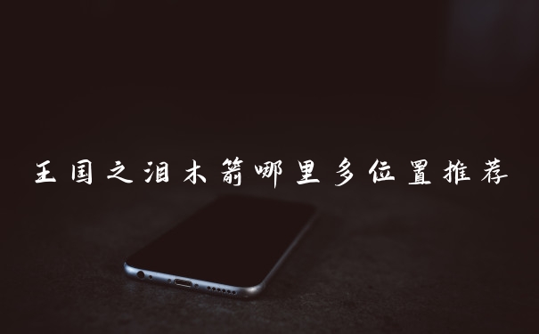 王国之泪木箭哪里多位置推荐