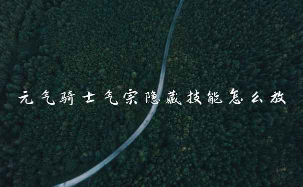 元气骑士气宗隐藏技能怎么放