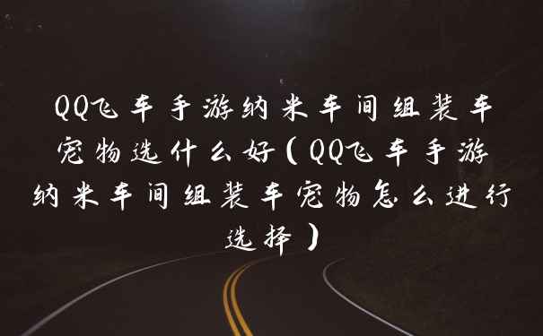 QQ飞车手游纳米车间组装车宠物选什么好（QQ飞车手游纳米车间组装车宠物怎么进行选择）