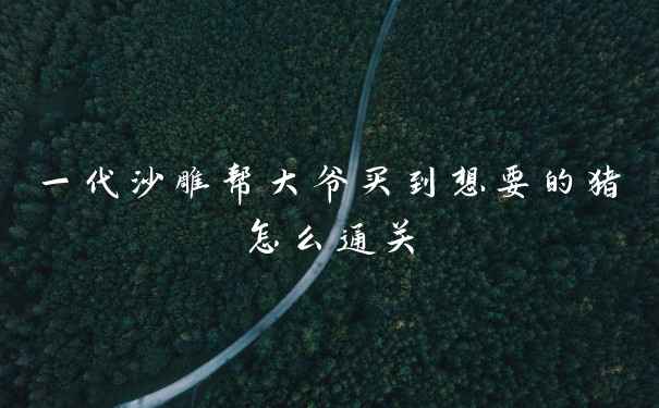 一代沙雕帮大爷买到想要的猪怎么通关