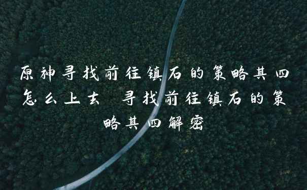 原神寻找前往镇石的策略其四怎么上去 寻找前往镇石的策略其四解密