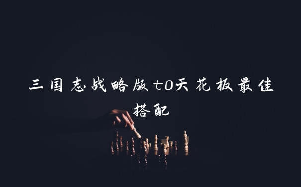 三国志战略版t0天花板最佳搭配