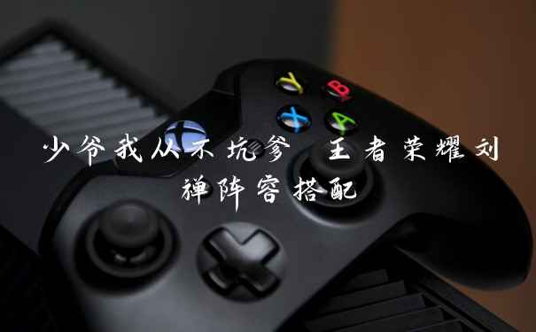 少爷我从不坑爹 王者荣耀刘禅阵容搭配