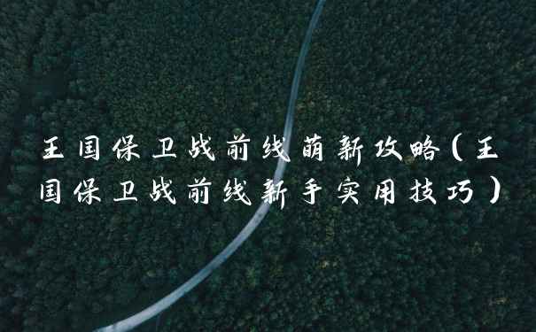 王国保卫战前线萌新攻略（王国保卫战前线新手实用技巧）