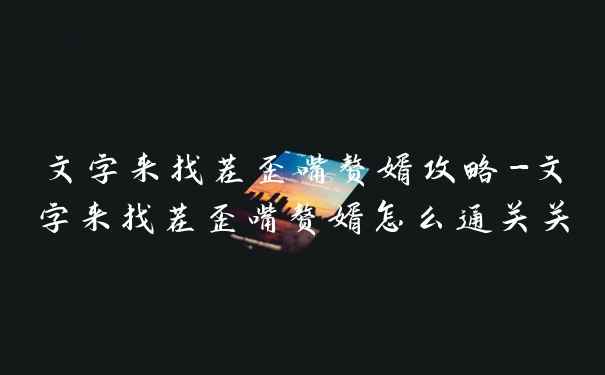 文字来找茬歪嘴赘婿攻略-文字来找茬歪嘴赘婿怎么通关关