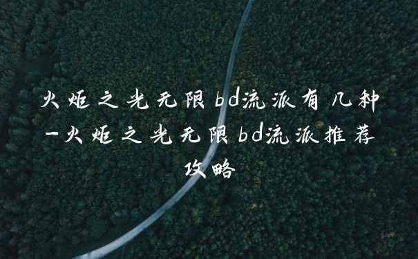 火炬之光无限bd流派有几种-火炬之光无限bd流派推荐攻略