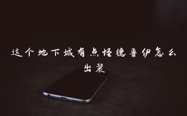 这个地下城有点怪德鲁伊怎么出装