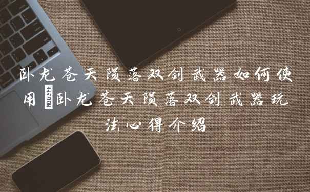 卧龙苍天陨落双剑武器如何使用_卧龙苍天陨落双剑武器玩法心得介绍