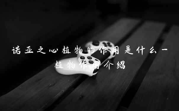 诺亚之心植物的作用是什么-植物作用介绍