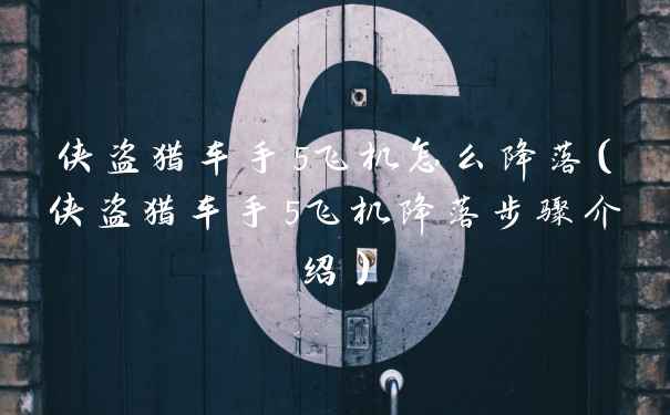 侠盗猎车手5飞机怎么降落（侠盗猎车手5飞机降落步骤介绍）