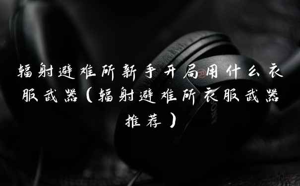 辐射避难所新手开局用什么衣服武器（辐射避难所衣服武器推荐）