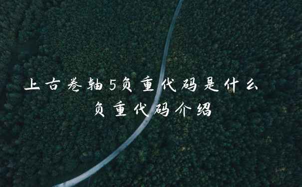 上古卷轴5负重代码是什么 负重代码介绍