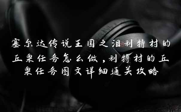 塞尔达传说王国之泪利特村的丘栗任务怎么做,利特村的丘栗任务图文详细通关攻略