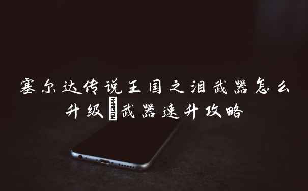 塞尔达传说王国之泪武器怎么升级_武器速升攻略
