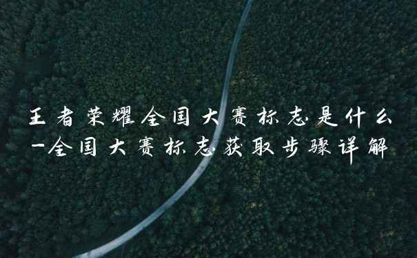 王者荣耀全国大赛标志是什么-全国大赛标志获取步骤详解