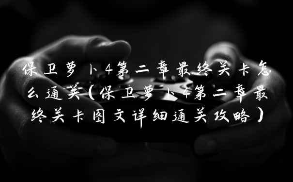 保卫萝卜4第二章最终关卡怎么通关（保卫萝卜4第二章最终关卡图文详细通关攻略）