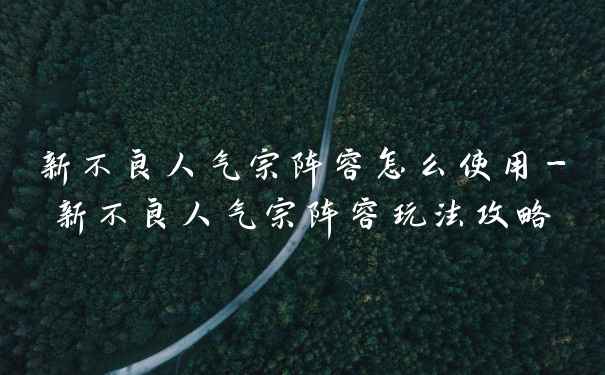 新不良人气宗阵容怎么使用-新不良人气宗阵容玩法攻略