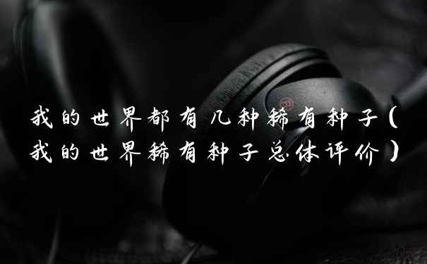 我的世界都有几种稀有种子（我的世界稀有种子总体评价）