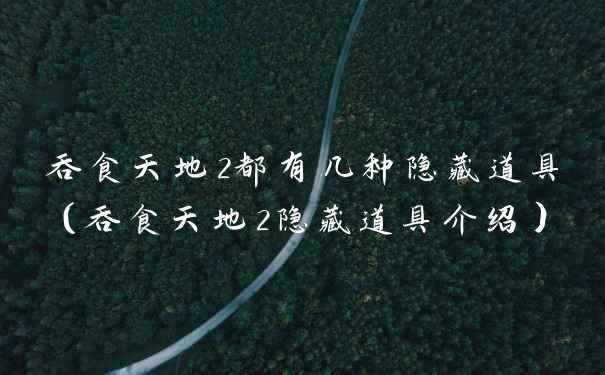 吞食天地2都有几种隐藏道具（吞食天地2隐藏道具介绍）