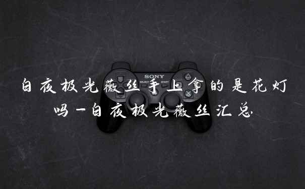 白夜极光薇丝手上拿的是花灯吗-白夜极光薇丝汇总