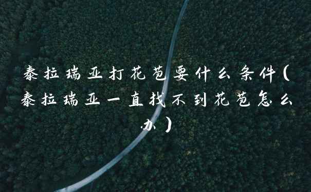 泰拉瑞亚打花苞要什么条件（泰拉瑞亚一直找不到花苞怎么办）