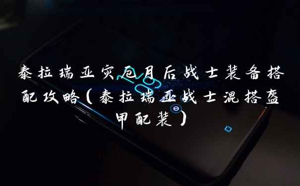 泰拉瑞亚灾厄月后战士装备搭配攻略(泰拉瑞亚战士混搭盔甲配装)
