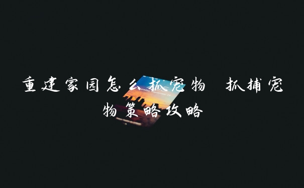 重建家园怎么抓宠物 抓捕宠物策略攻略