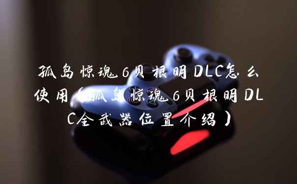 孤岛惊魂6贝根明DLC怎么使用（孤岛惊魂6贝根明DLC全武器位置介绍）