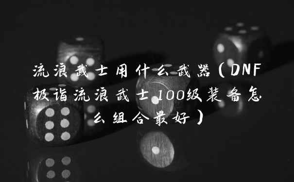 流浪武士用什么武器（DNF极诣流浪武士100级装备怎么组合最好）