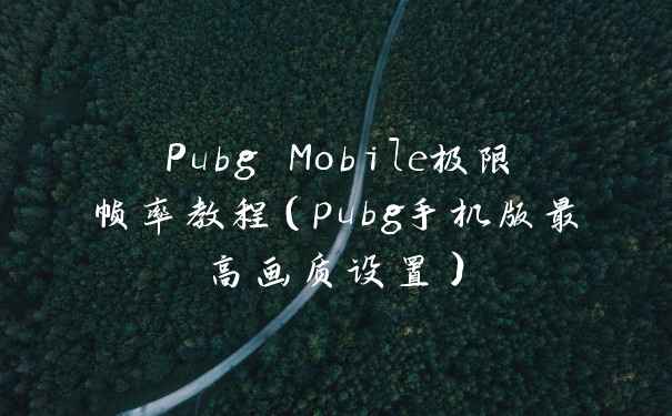 Pubg Mobile极限帧率教程（pubg手机版最高画质设置）