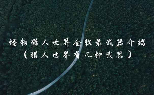 怪物猎人世界全收录武器介绍（猎人世界有几种武器）