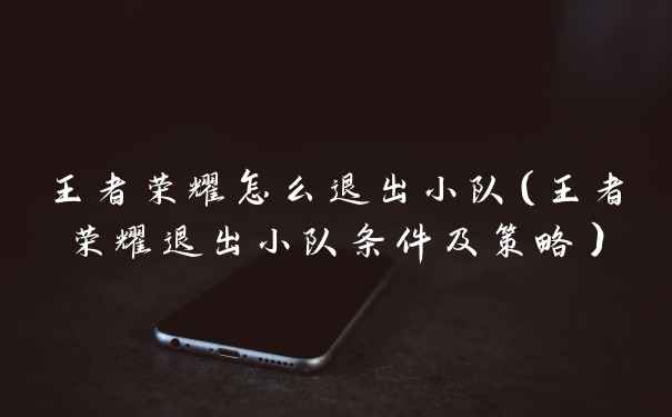 王者荣耀怎么退出小队（王者荣耀退出小队条件及策略）