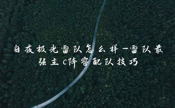 白夜极光雷队怎么样-雷队最强主c阵容配队技巧