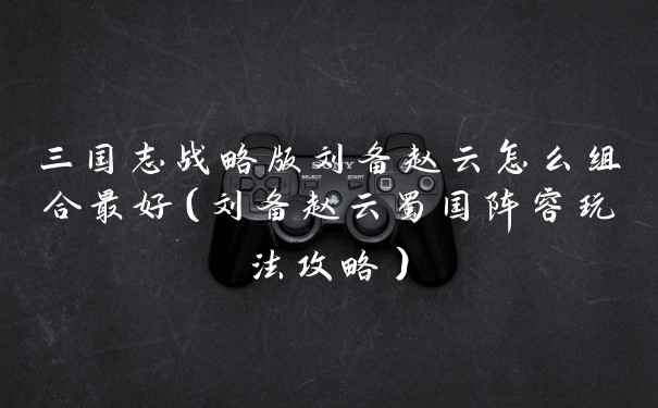 三国志战略版刘备赵云怎么组合最好（刘备赵云蜀国阵容玩法攻略）