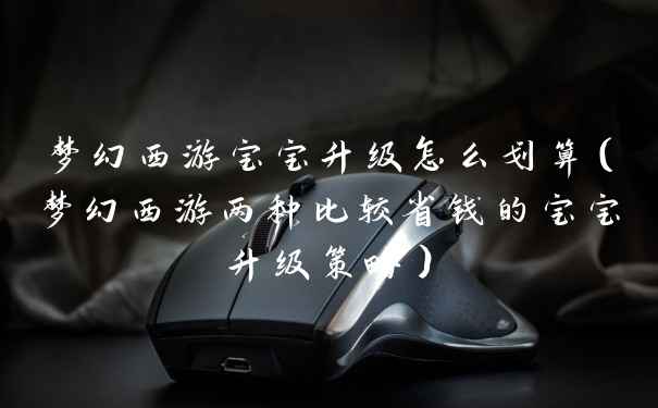 梦幻西游宝宝升级怎么划算（梦幻西游两种比较省钱的宝宝升级策略）